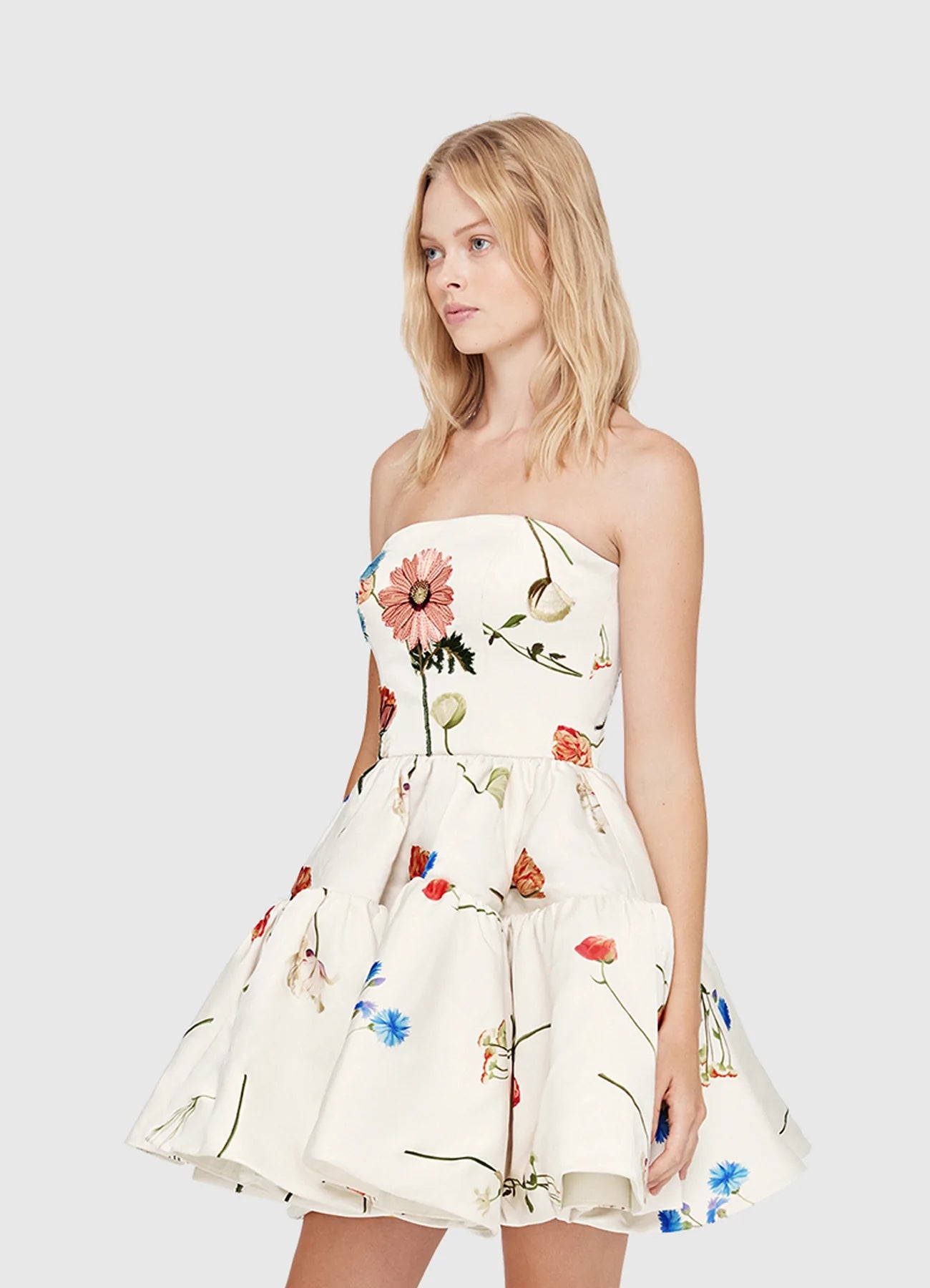 The Fields Embroidered Bustier Mini Dress | Floral White